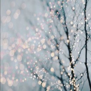 Meet your Posher, Shyanna